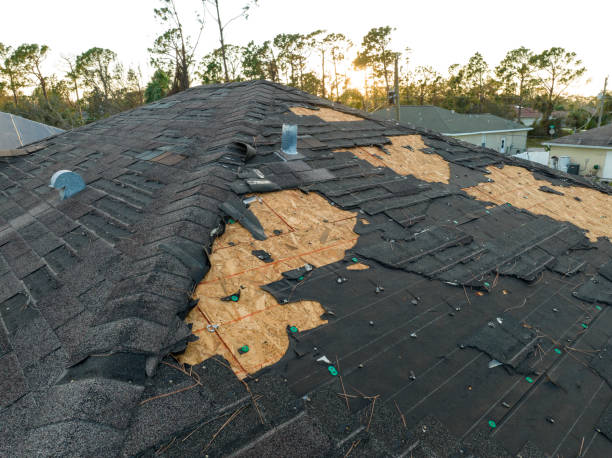 Best Solar Panel Roofing Installation  in Owings, MD